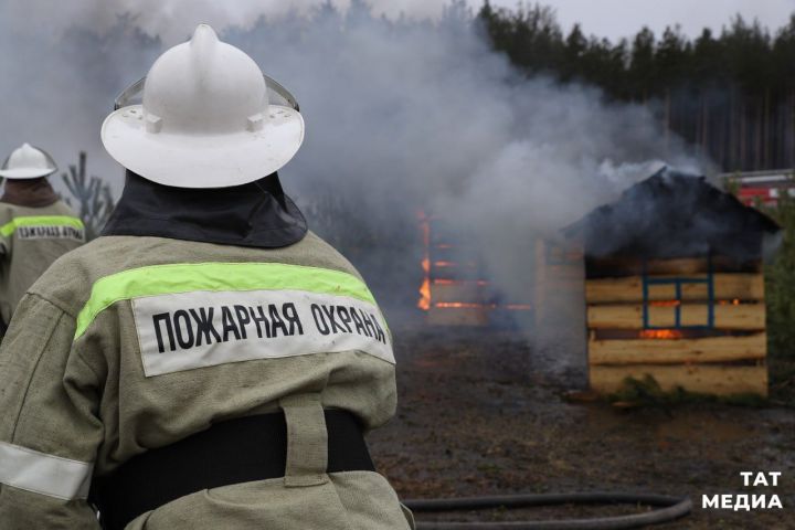 В Татарстане снова продлили штормовое предупреждение из-за опасности лесных пожаров