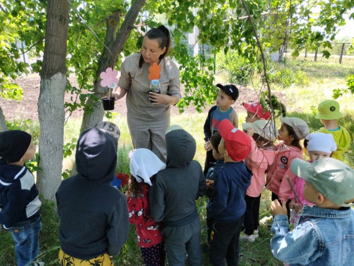 Ребята Дым-Тамакского детского сада отправились в поход на «Экологическую тропу»