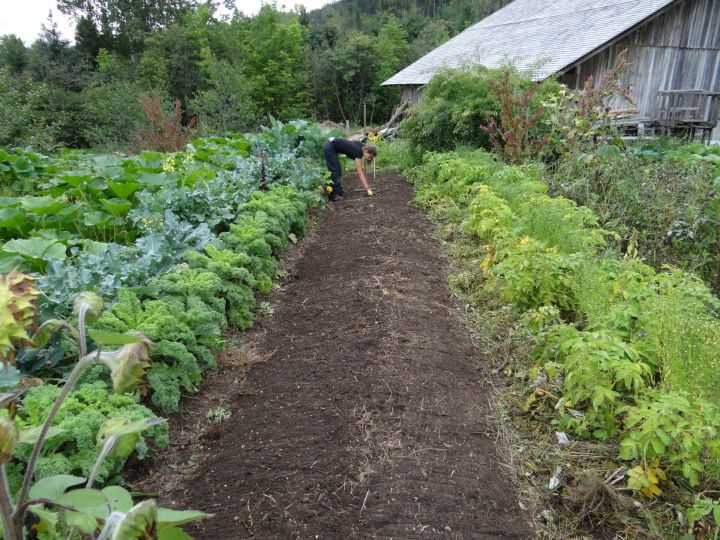 В Татарстане планируют освободить садоводческие и огороднические товарищества от налогов