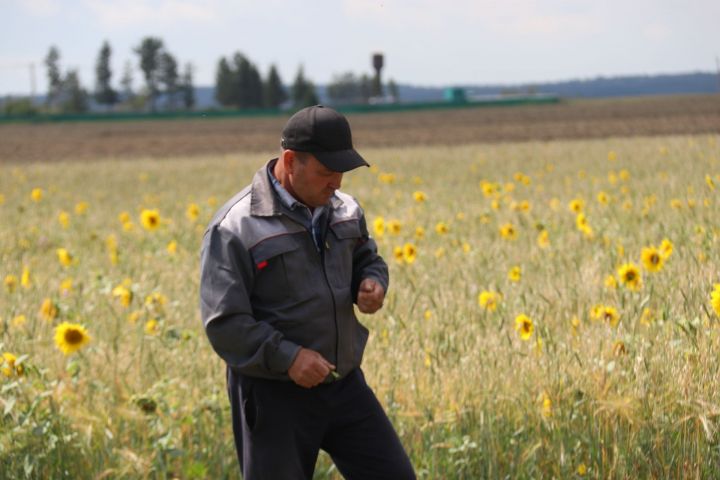 Заслуженный механизатор Татарстана не сдает позиций