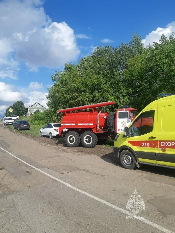 В Татарстане на мужчину упало дерево, медикам удалось его спасти