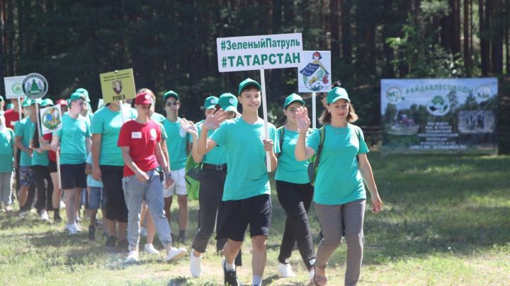 Лес в народных традициях