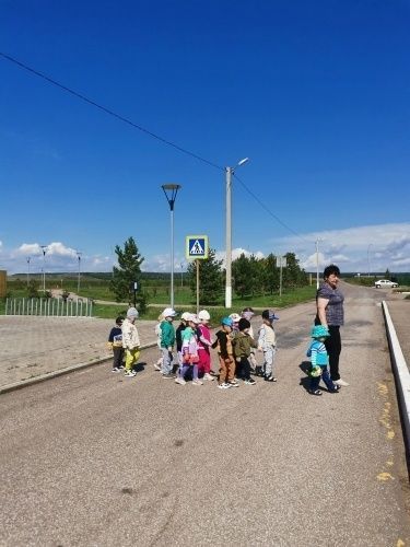 Неделя безопасности дорожного движения «Я - пешеход»