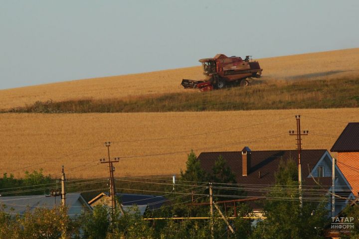 В Татарстане аграрии собрали 2 миллион тонн зерна