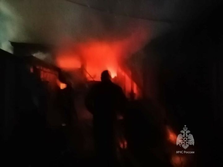 В Татарстане на пожаре серьезные ожоги получил хозяин дома