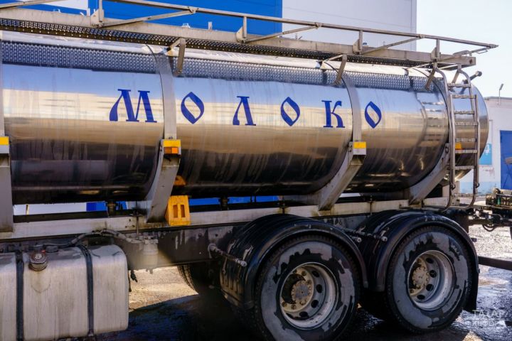 Господдержку в сумме около двух миллиардов получили производители молока в Татарстане