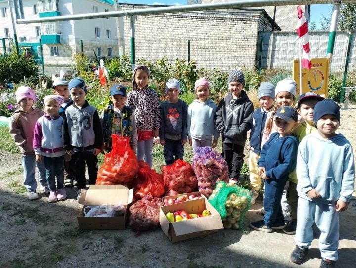 В Буинске ребята детского сада вырастили овощи для бойцов спецоперации