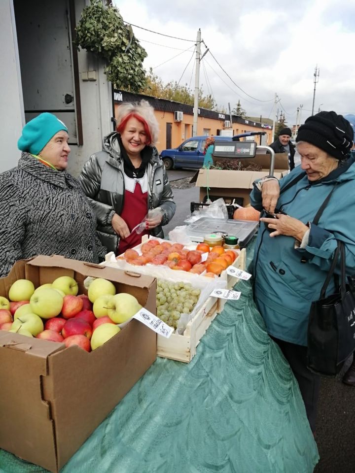 В Татарстане овощи на «Борщевой набор» дешевеют 4 неделю подряд