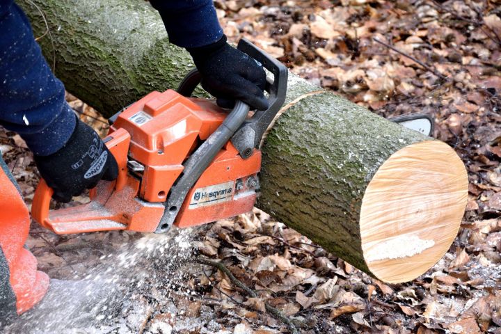 В Татарстане за незаконную вырубку деревьев нарушители заплатили почти по два миллиона рублей