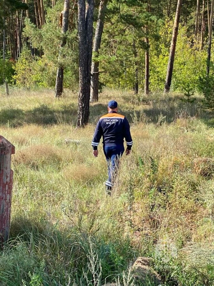 В Татарстане спасатели нашли бабушек, которые заблудились в лесу