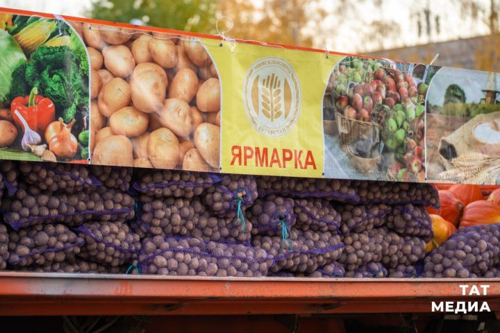 В городах и районах Татарстана 9 сентября откроются сельхозярмарки