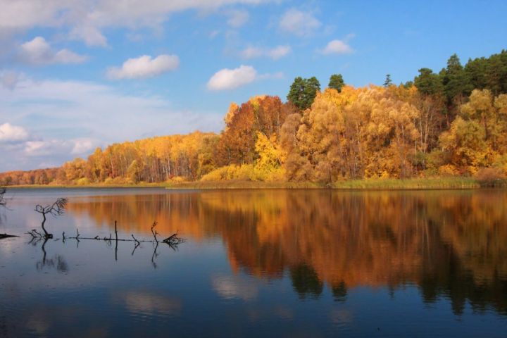 На следующей неделе в Татарстане ждут бабье лето