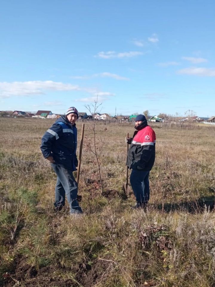 Жители села Байларово приняли участие во Всероссийской акции «Сохраним лес»