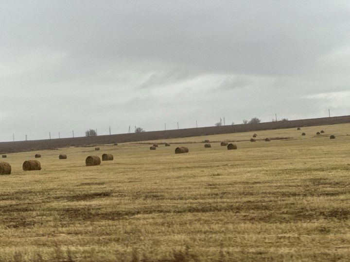 Доброе утро, ютазинцы!