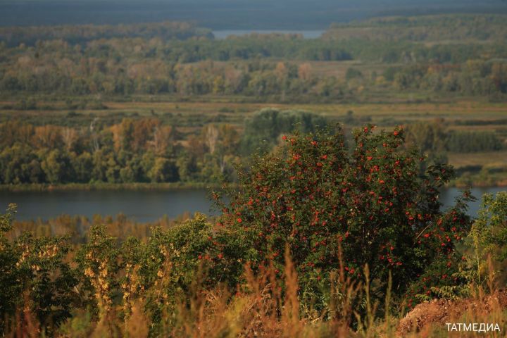 Прогноз погоды в Уруссу 7 октября