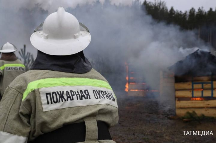 В РТ вновь объявили штормовое предупреждение из-за пожароопасности в лесах