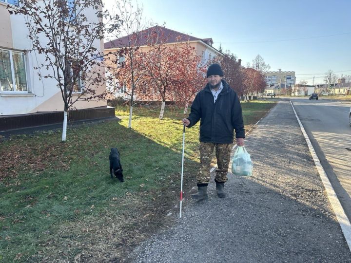 Его собаки живут обычной человеческой жизнью