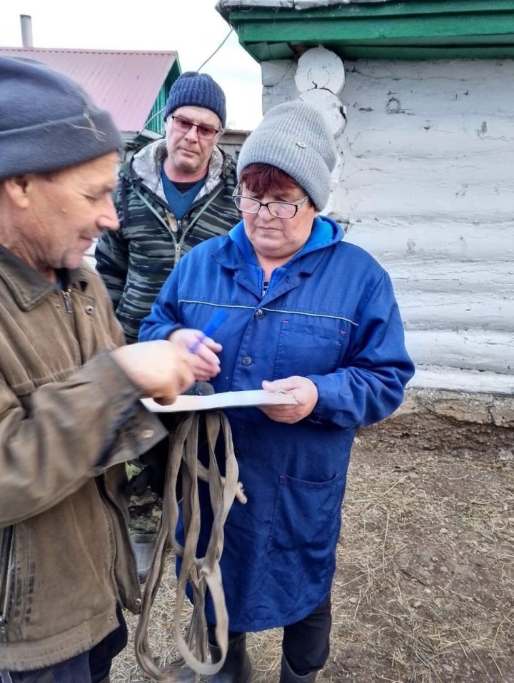 В Ютазинском районе продолжается вакцинация сельхоз животных против сибирской язвы и ЭМКАРа