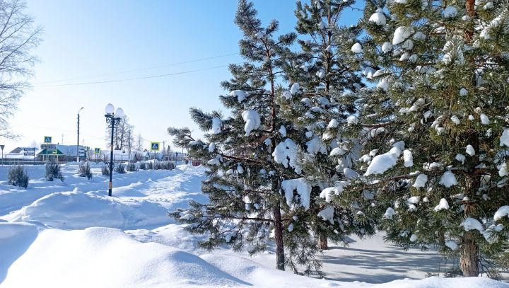 Как не замерзнуть в сильный мороз: полезные лайфхаки и интересные идеи