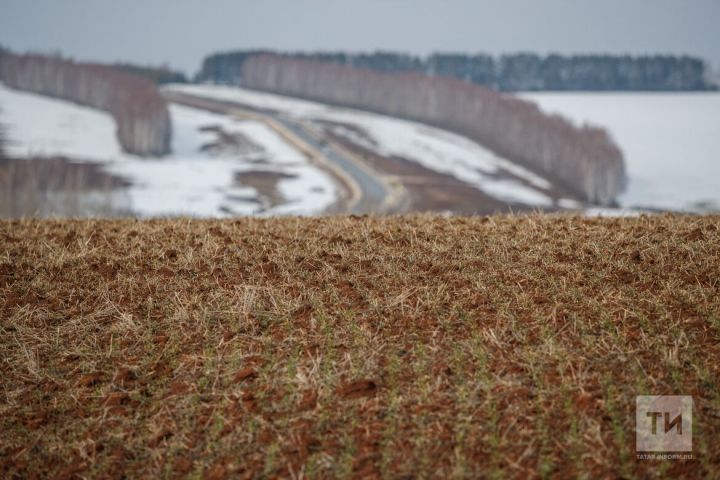 За год в Татарстане введено в оборот более 20 тысяч га сельхозземель