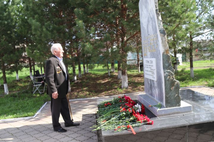 Чернобыль — наша быль и наша боль