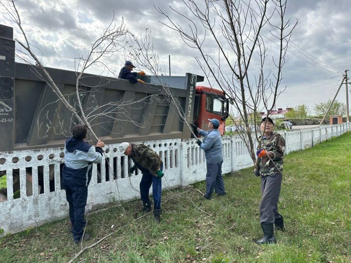 Сегодня в сельских поселениях прошли субботники