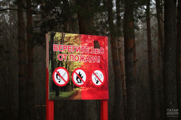 В Татарстане с 22 апреля по 12 мая вводится особый противопожарный режим