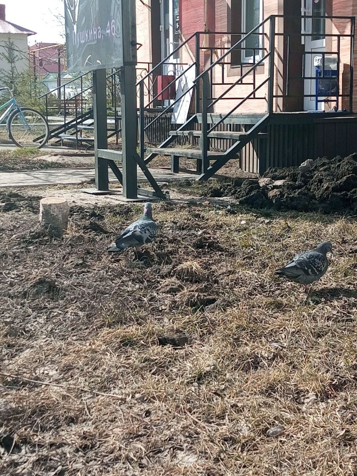 В Уруссу 9 апреля будет переменная облачность