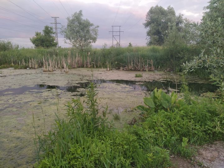 Погода в Уруссу на 25 июля