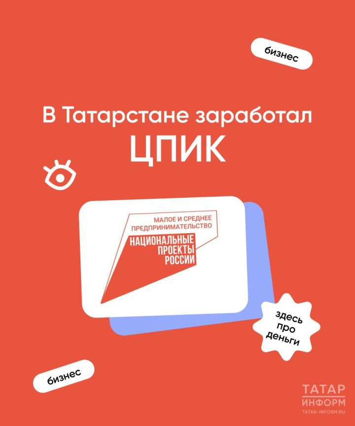 В Татарстане по национальному проекту запустили новый сервис для предпринимателей