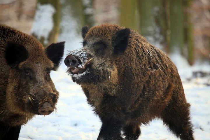 В РТ проводится месячник по профилактике АЧС