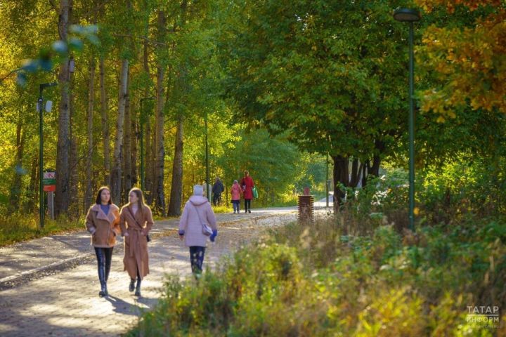 Жаркий сентябрь спрогнозировали Татарстану метеорологи