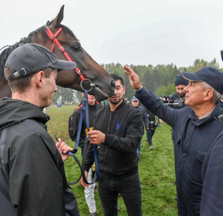 В Татарстане пройдет фестиваль «Татар аты»