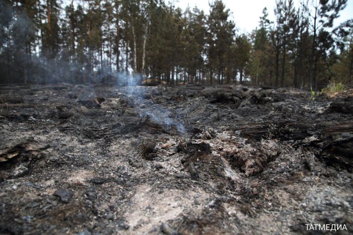 Минлесхоз Татарстана назвал продолжительность пожароопасного периода в этом году