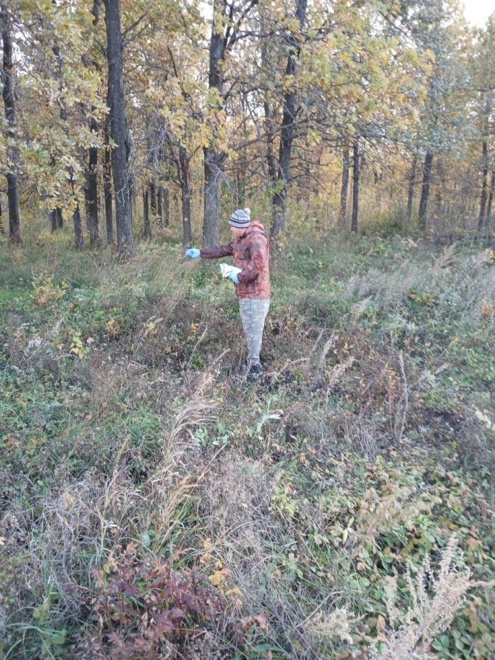 Вакцина от бешенства для диких животных разложена в Ютазинском районе