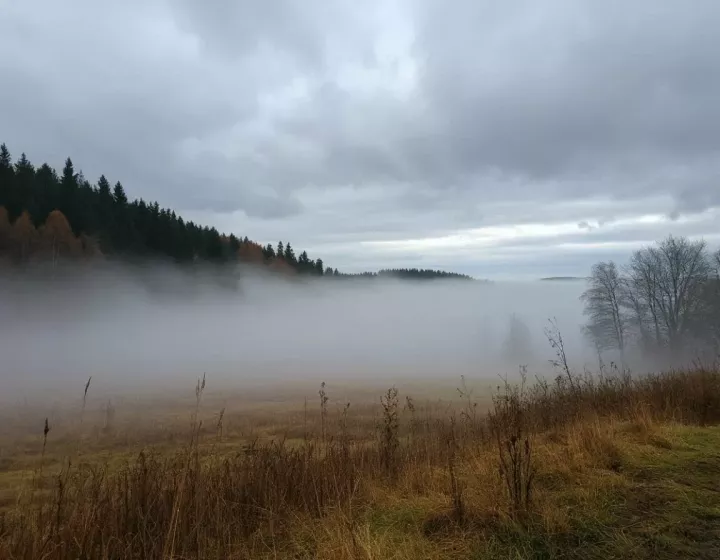 С самым добрым утром!