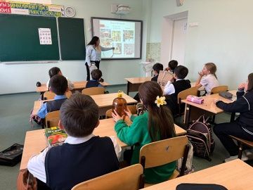 Начало экологической акции «Дом пернатых»