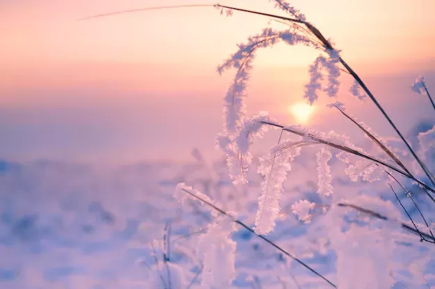 Пусть ваш понедельник станет стартом к чудесной неделе!
