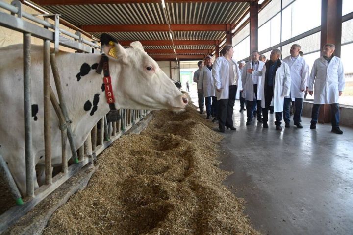 В Татарстане малые формы хозяйствования за минувший год произвели продукции на сумму 142,2 миллиарда рублей