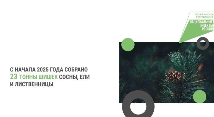 В Татарстане по нацпроекту заготовят 11,5 тонны семян в этом году