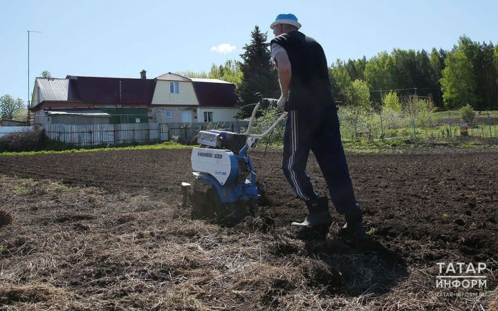 В Татарстане владельцам заброшенных земельных участков дается три года на то, чтобы привести их в надлежащее состояние