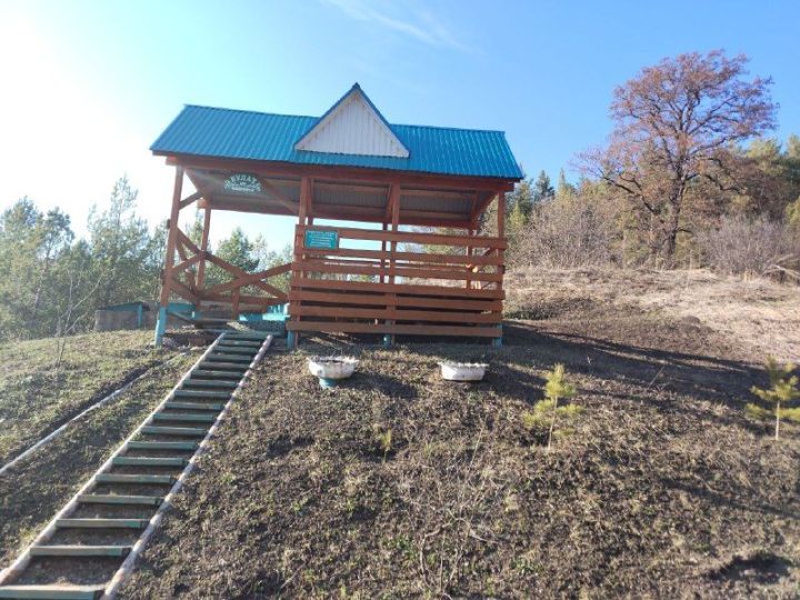Хотим пожелать доброго утра!