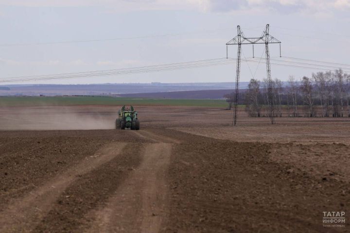 В Татарстане выделят 42 млрд рублей на весенние полевые работы