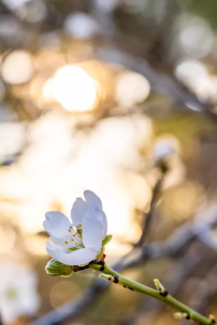 Погода в Ютазинском районе на воскресенье, 20 апреля