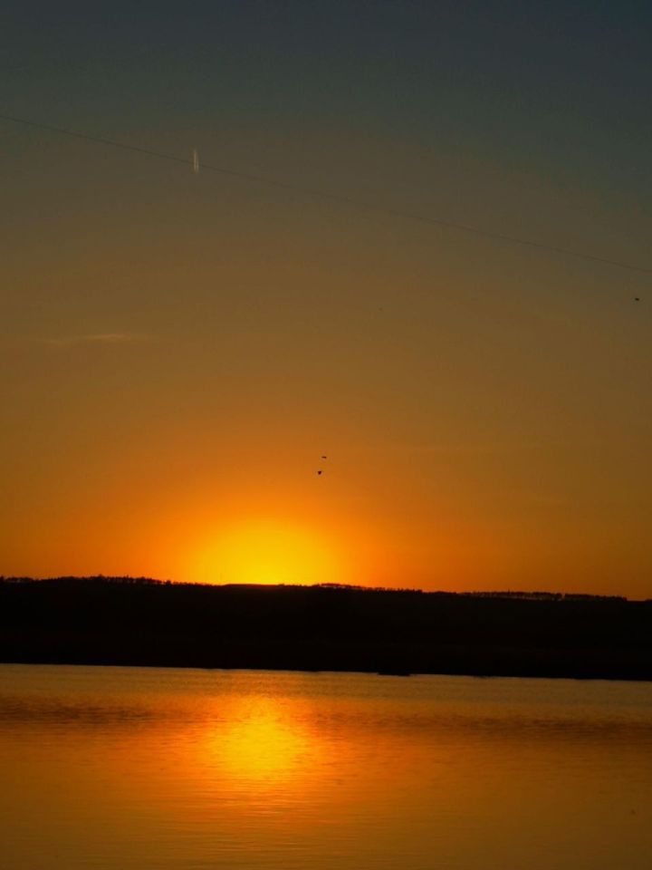 Доброй ночи, наши подписчики!