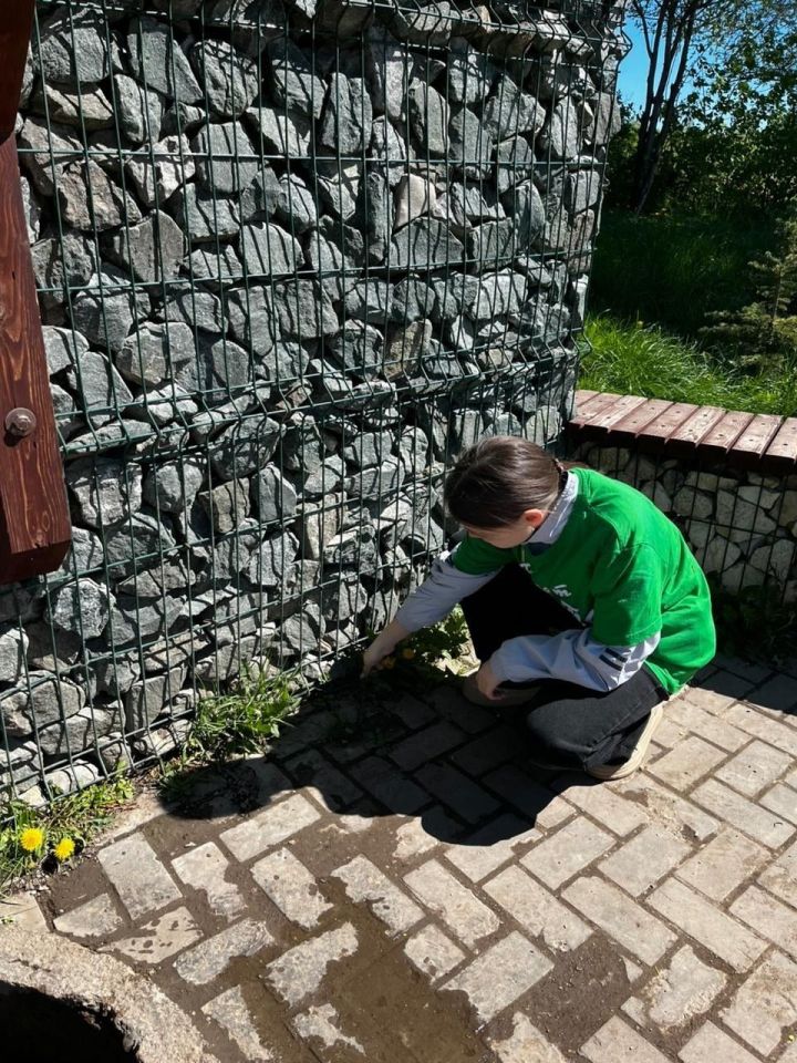 Эковесна — «Преображение»!