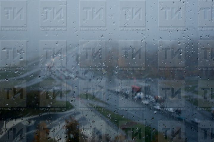 Сегодня и 16 июня в Татарстане ожидаются грозы, кратковременные усиления ветра