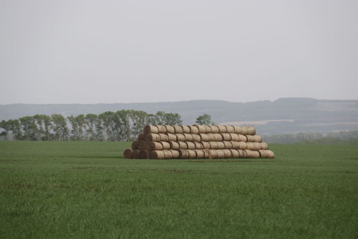 Татарстанда эшләүче 46 предприятие «Хезмәт җитештерүчәнлеге» проектына кушылды