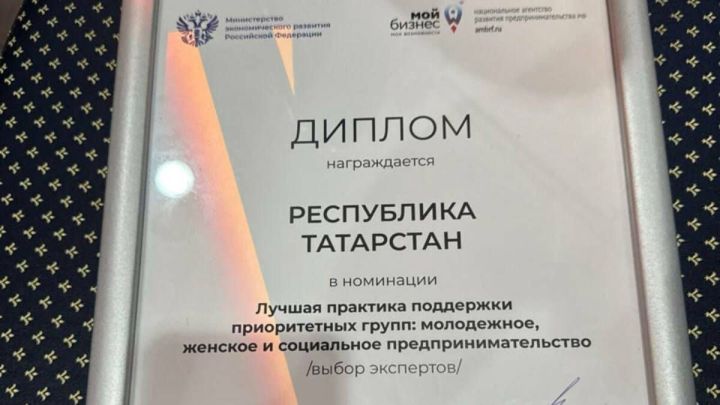 Практика РТ по развитию молодежного предпринимательства признана лучшей в России