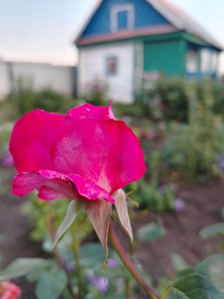 Погода на 5 августа